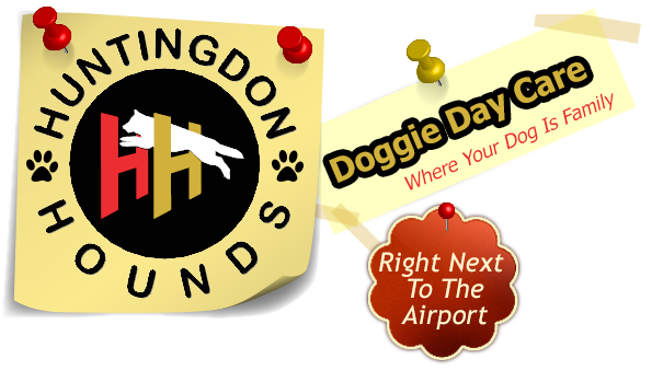 Huntingdon Hounds Doggy Day Care Logo